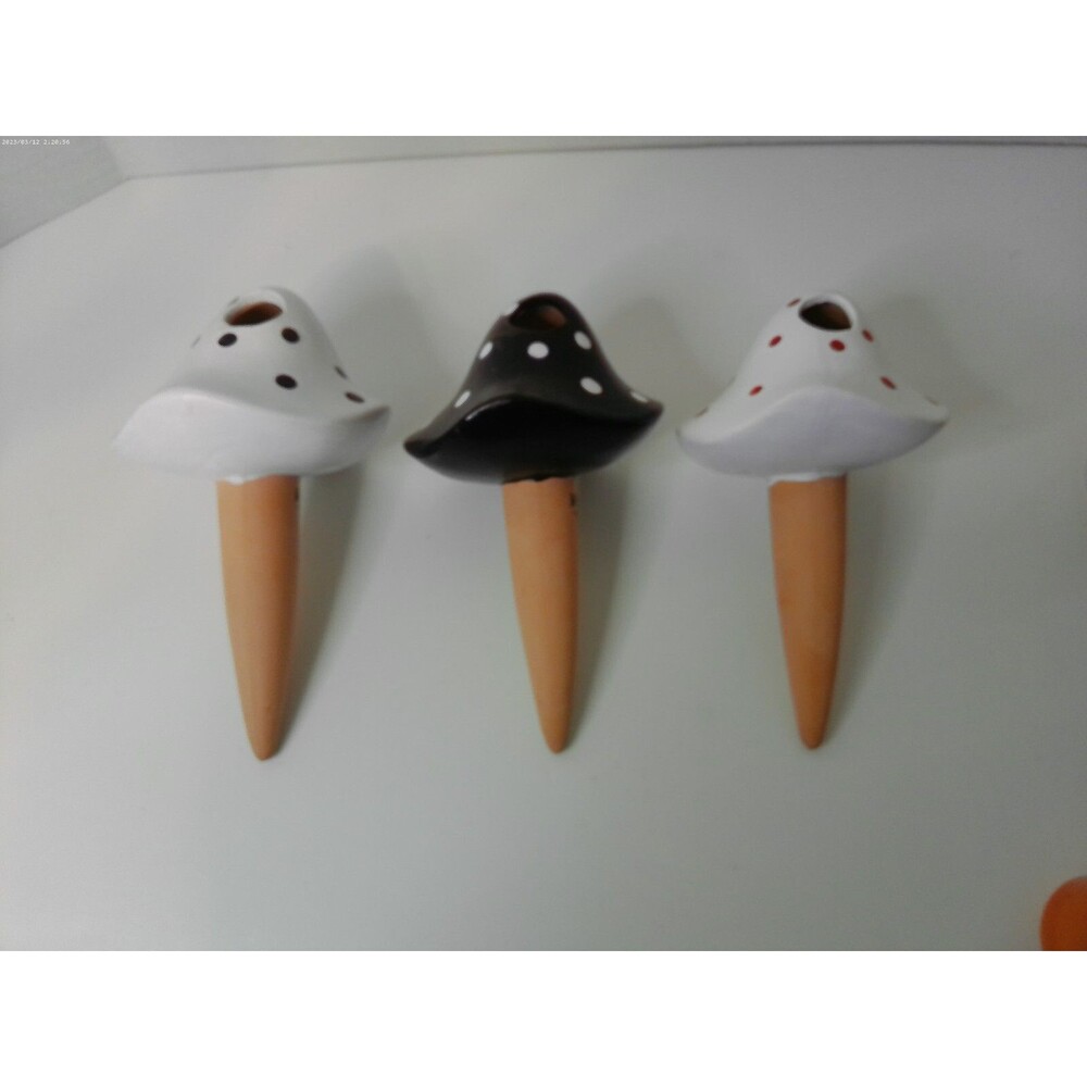 3 Slow Watering Taracotta Magic Mushrooms